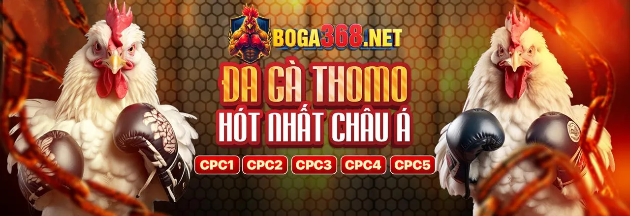 Đá Gà Trực Tuyến Hấp Dẫn tại nhacaiso1